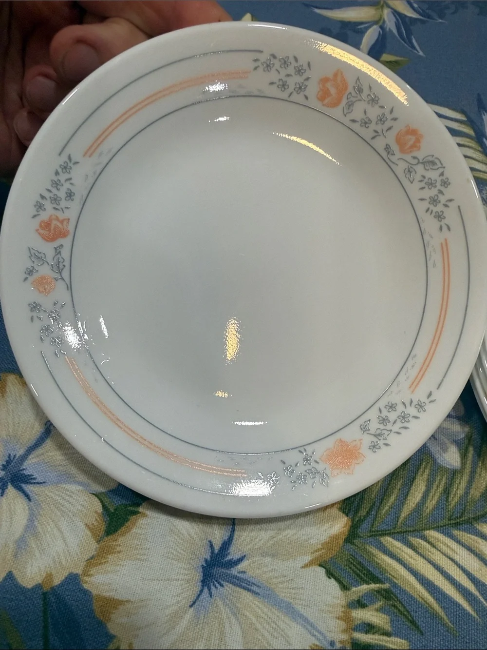 Corelle Apricot Grove set of 10 dessert dishes